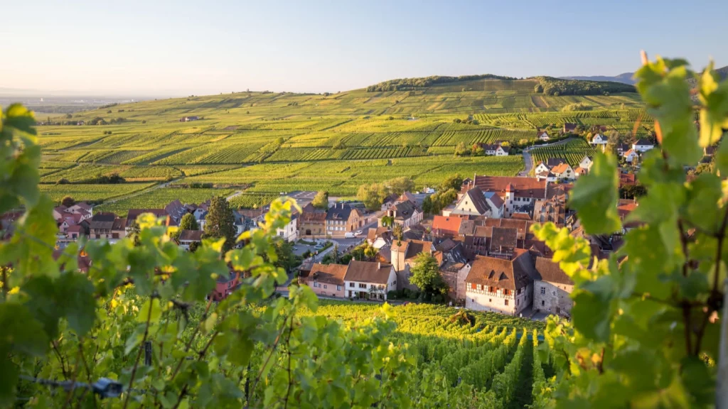 La Route des Vins en Alsace